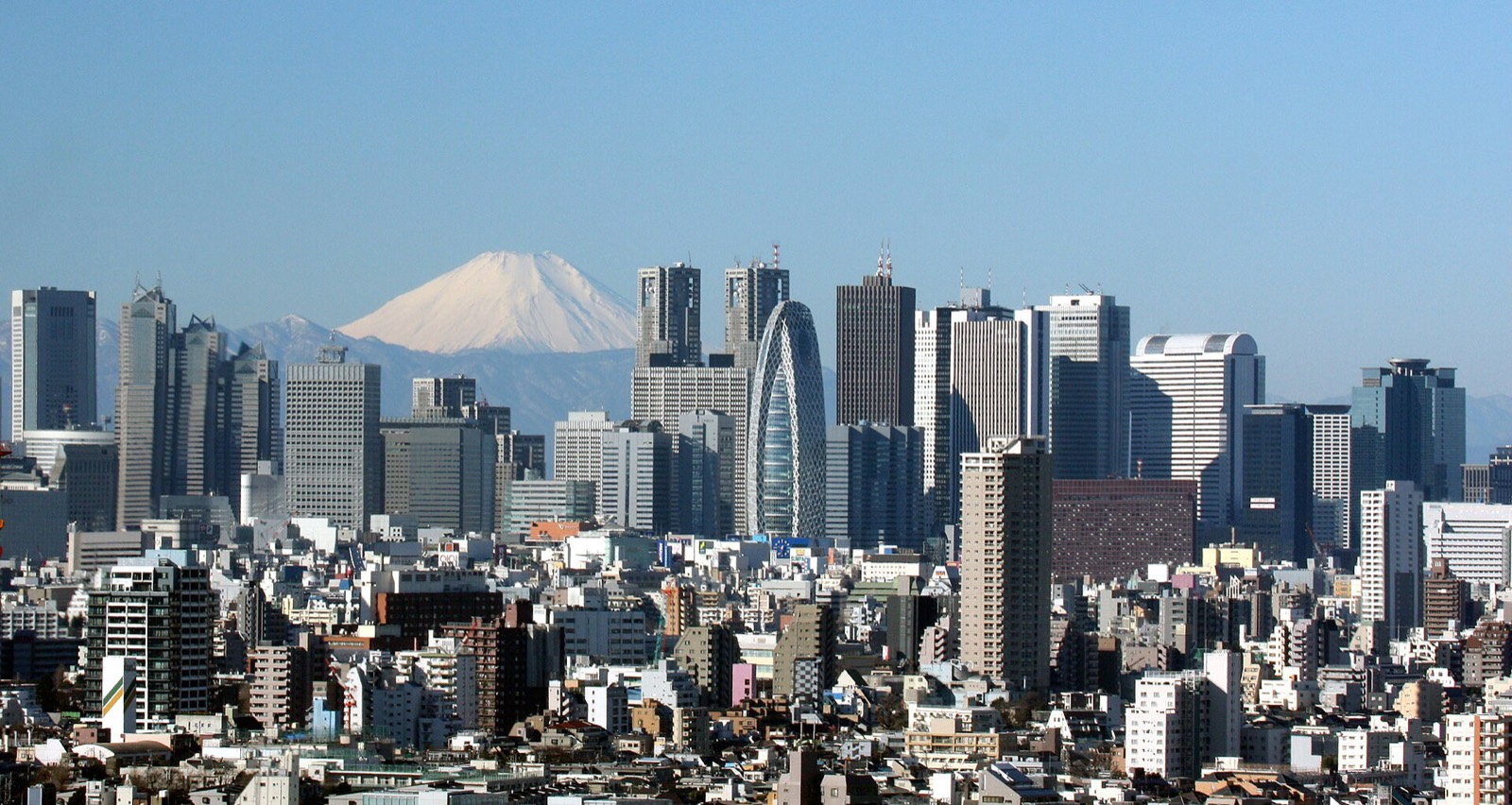Shinjuku skyscrapers at dusk